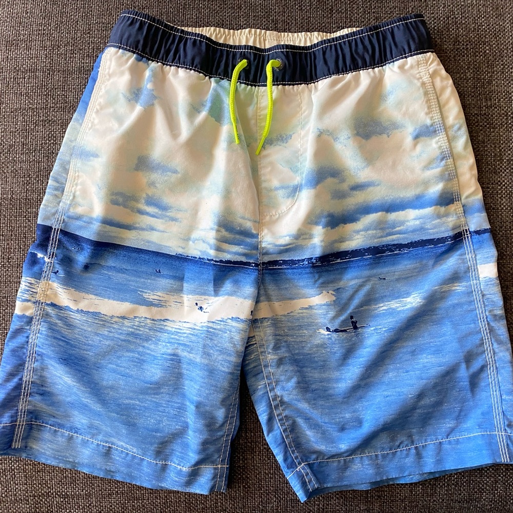 ⭐️ 🏄‍♂️ GAP Surf Kids Swim Trunks, Boys L/10 Husky, Swimsuit, Blue, Green